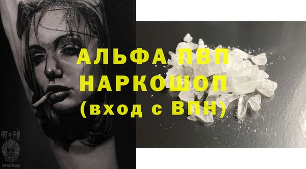 прущие грибы Инта
