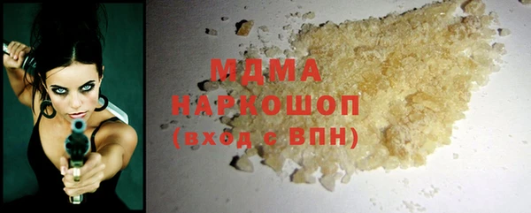 прущие грибы Инта