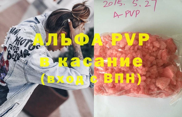 стаф Каменск-Шахтинский