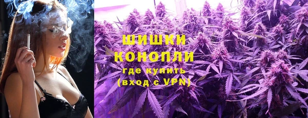 стаф Каменск-Шахтинский