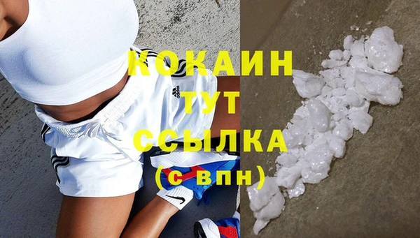 кокс Инсар