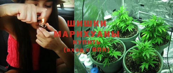 кокс Инсар
