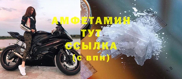 стаф Каменск-Шахтинский