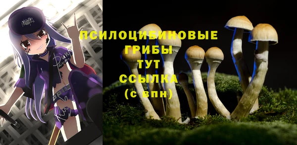 марки nbome Каменногорск