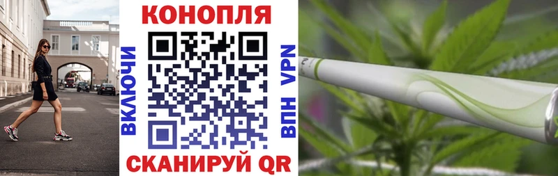 Купить где Заречный Бошки Шишки сатива